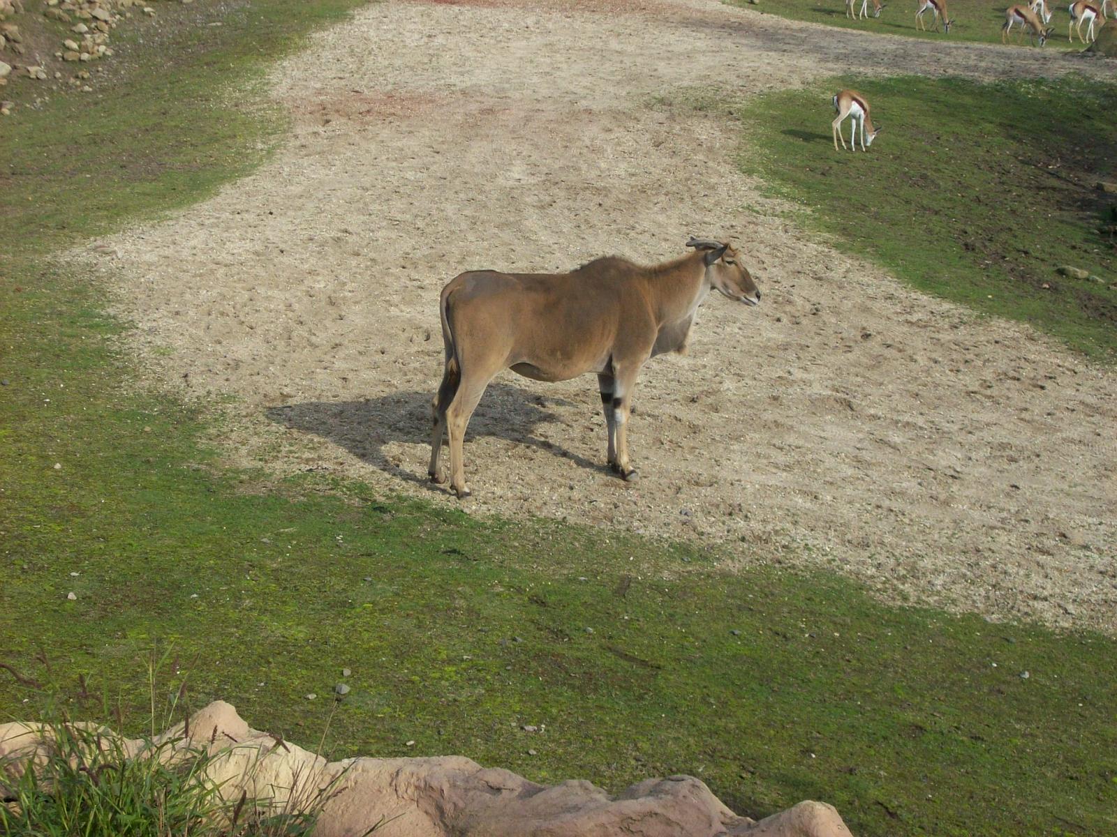 Zoom 18.10.2008-089.jpg